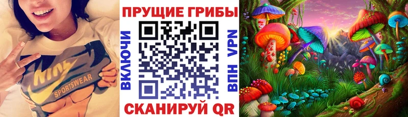 Псилоцибиновые грибы MAGIC MUSHROOMS  гидра как зайти  Барабинск 